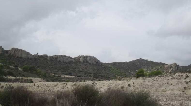 Alicante - Novelda - 103000m2