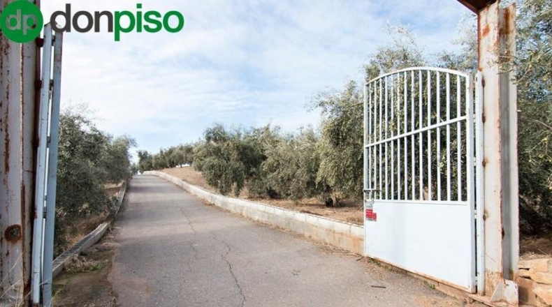 Community of Madrid - Madrid - 460000m2
