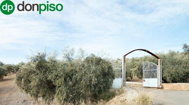 Community of Madrid - Madrid - 460000m2