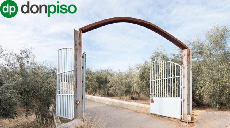 Community of Madrid - Madrid - 460000m2