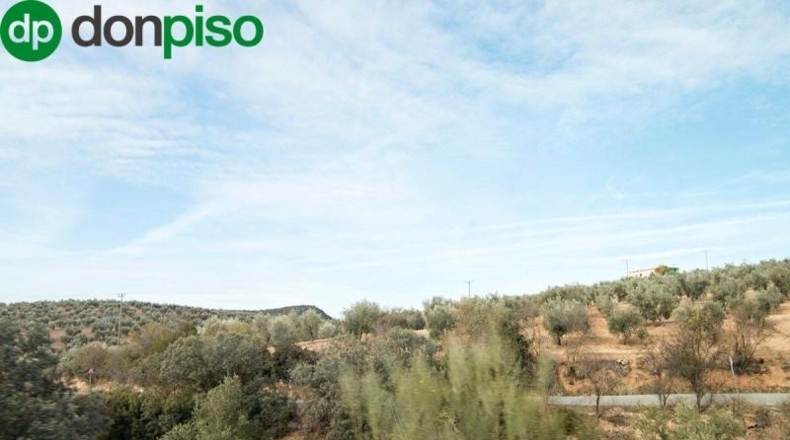 Community of Madrid - Madrid - 460000m2