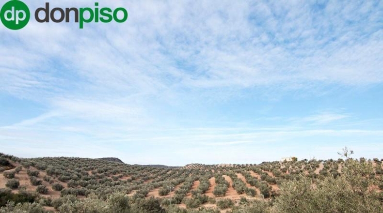 Community of Madrid - Madrid - 460000m2