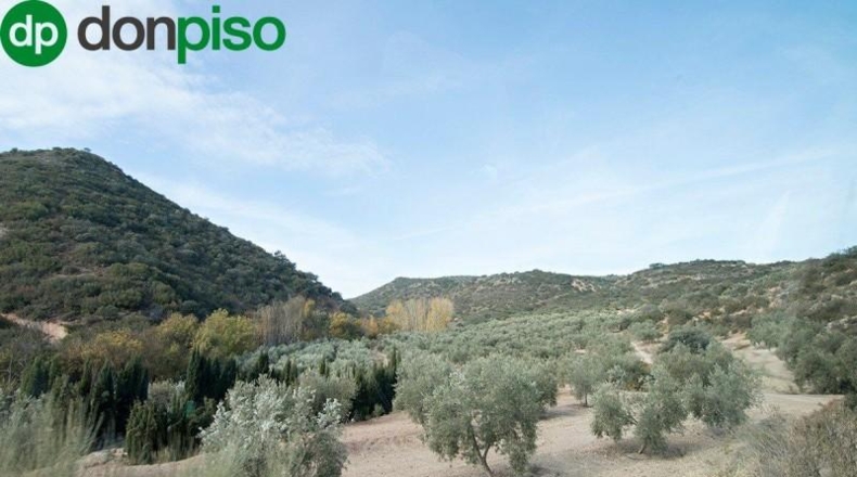 Community of Madrid - Madrid - 460000m2