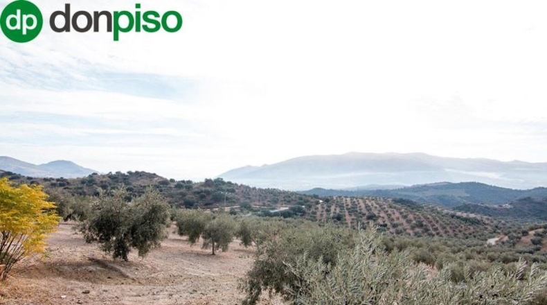 Community of Madrid - Madrid - 460000m2
