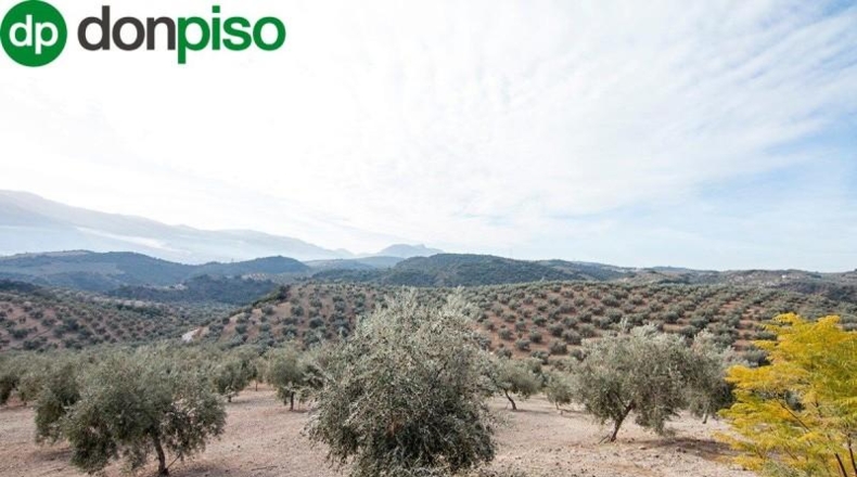 Community of Madrid - Madrid - 460000m2