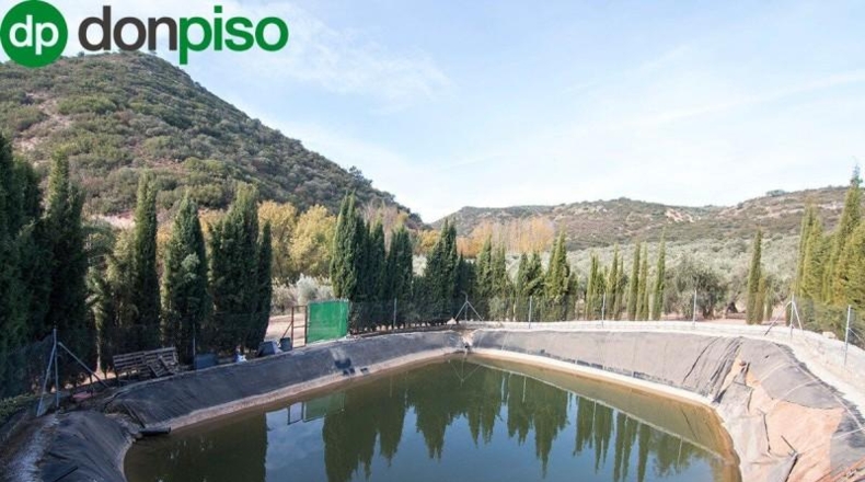 Community of Madrid - Madrid - 460000m2