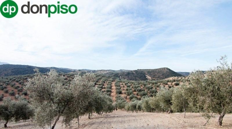 Community of Madrid - Madrid - 460000m2