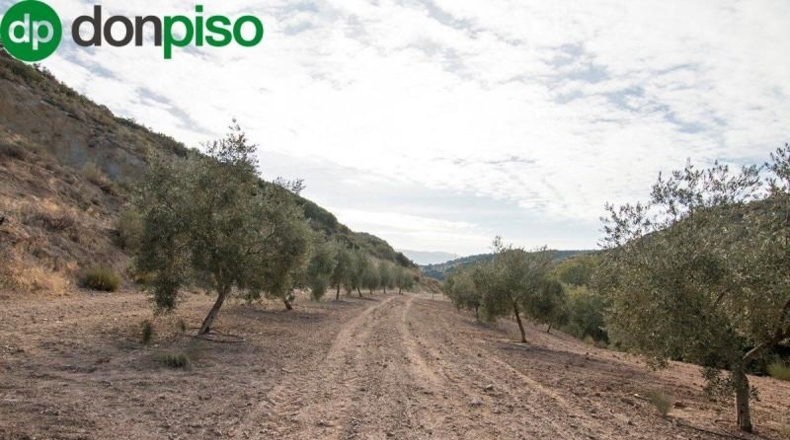 Community of Madrid - Madrid - 460000m2