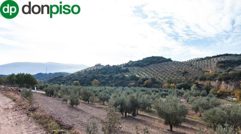 Community of Madrid - Madrid - 460000m2