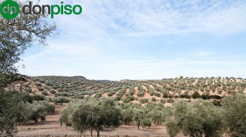 Community of Madrid - Madrid - 460000m2