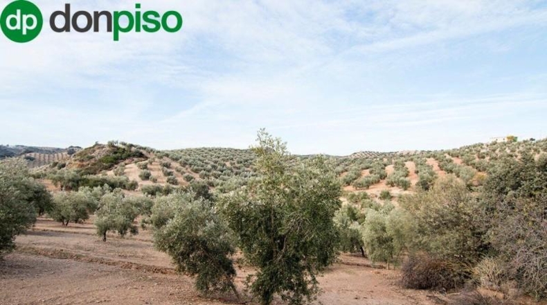 Community of Madrid - Madrid - 460000m2