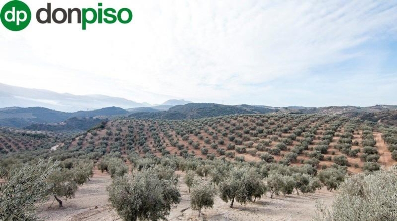 Community of Madrid - Madrid - 460000m2