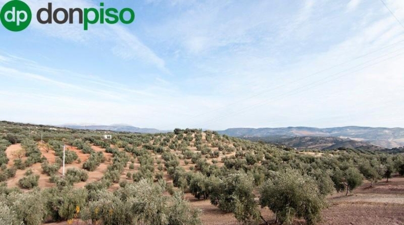 Community of Madrid - Madrid - 460000m2