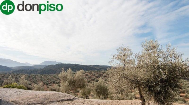 Community of Madrid - Madrid - 460000m2