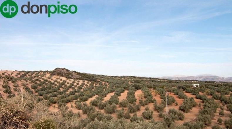 Community of Madrid - Madrid - 460000m2