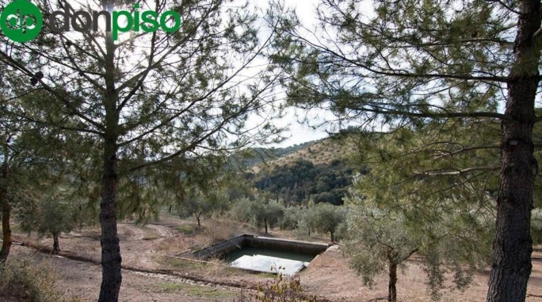 Community of Madrid - Madrid - 460000m2
