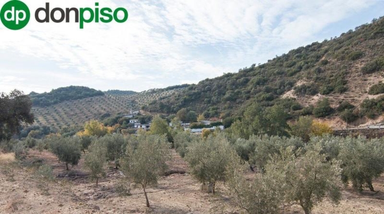 Community of Madrid - Madrid - 460000m2