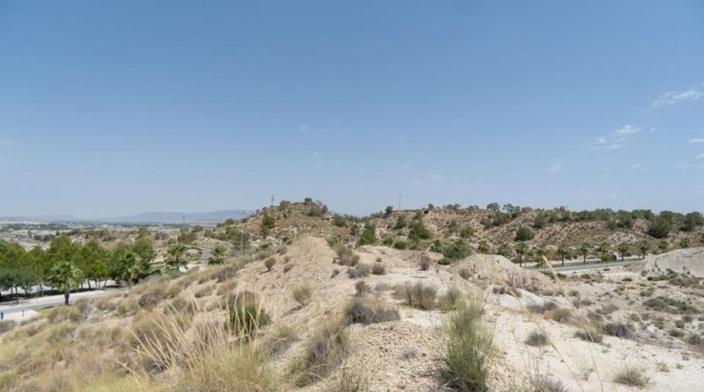 Murcia - Molina de Segura - 29930m2