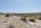 Sòl urbà en venda a la España, Molina de Segura, ref.: TR353313 foto
