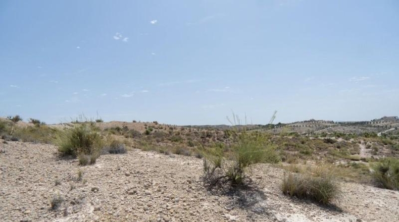 Murcia - Molina de Segura - 29930m2