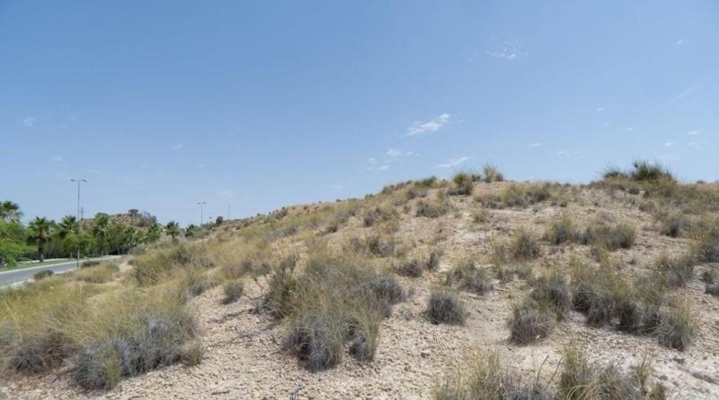 Murcia - Molina de Segura - 29930m2