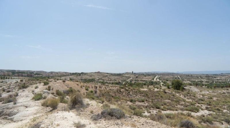 Murcia - Molina de Segura - 29930m2