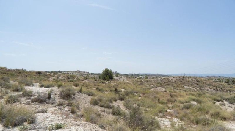 Murcia - Molina de Segura - 29930m2