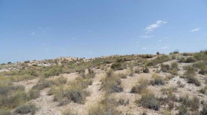 Murcia - Molina de Segura - 29930m2