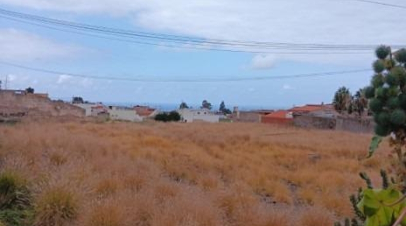 Santa Cruz de Tenerife - Puerto de la Cruz - 7435m2