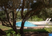 Casa de camp amb terreny en venda a la España, Ciutadella de Menorca, ref.: TR312916 foto