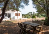Casa de camp amb terreny en venda a la España, Ciutadella de Menorca, ref.: TR312916 foto