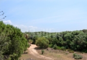 Casa de camp amb terreny en venda a la España, Ciutadella de Menorca, ref.: TR312916 foto