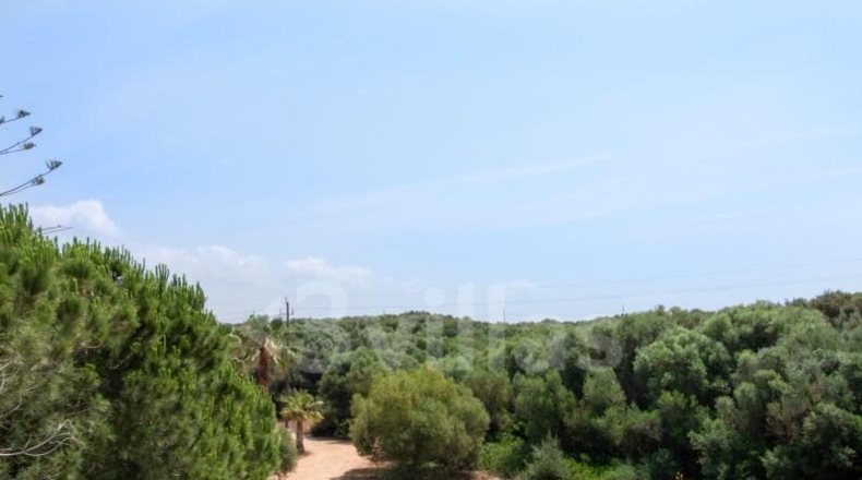 Islas Baleares - Ciudadela - 19250m2
