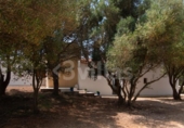 Casa de camp amb terreny en venda a la España, Ciutadella de Menorca, ref.: TR312916 foto
