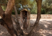 Casa de camp amb terreny en venda a la España, Ciutadella de Menorca, ref.: TR312916 foto