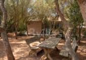 Casa de camp amb terreny en venda a la España, Ciutadella de Menorca, ref.: TR312916 foto