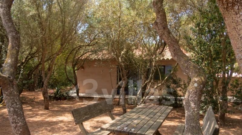 Islas Baleares - Ciudadela - 19250m2