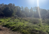 Terreno no urbanizable en venta en la España, Mijas, ref: TR373824 foto
