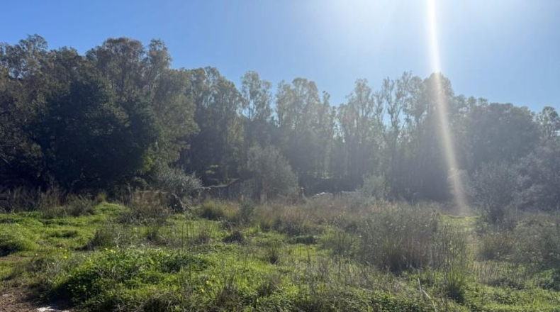 Malaga - Mijas - 90882m2