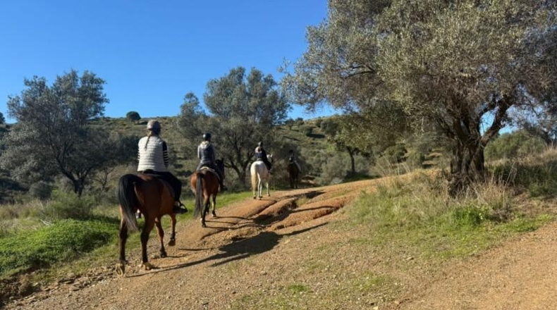 Malaga - Mijas - 90882m2
