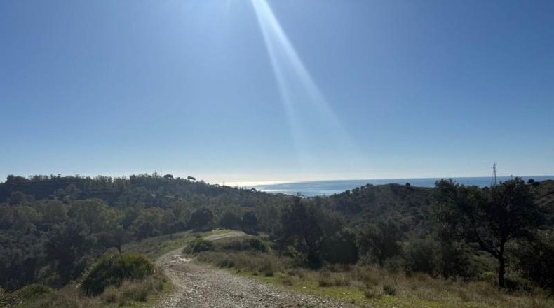 Malaga - Mijas - 90882m2