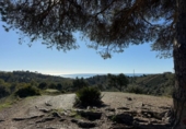 Terreno no urbanizable en venta en la España, Mijas, ref: TR373824 foto