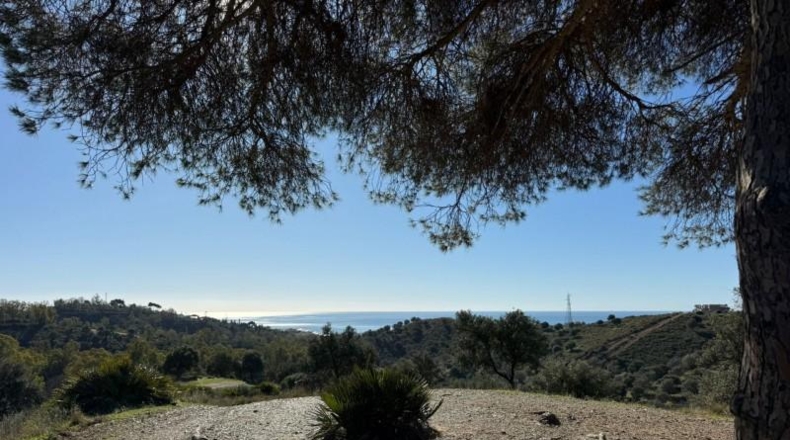 Malaga - Mijas - 90882m2