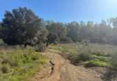 Terreno no urbanizable en venta en la España, Mijas, ref: TR373824 foto