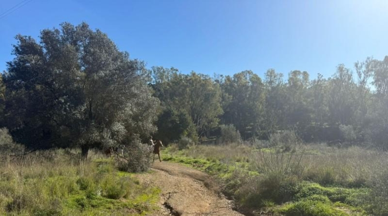 Malaga - Mijas - 90882m2