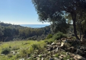 Terreno no urbanizable en venta en la España, Mijas, ref: TR373824 foto