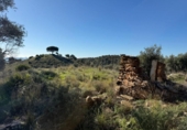 Terreno no urbanizable en venta en la España, Mijas, ref: TR373824 foto