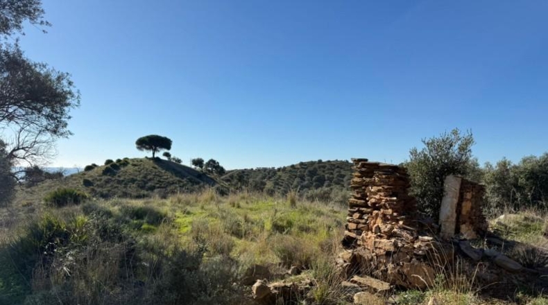 Malaga - Mijas - 90882m2
