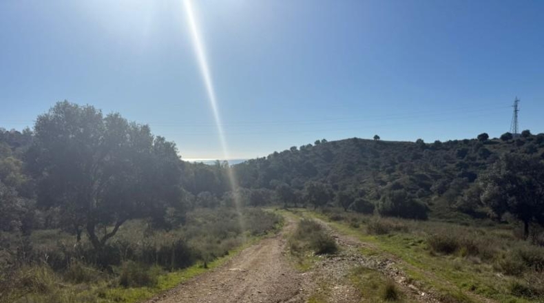 Malaga - Mijas - 90882m2