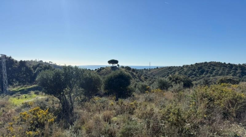 Malaga - Mijas - 90882m2